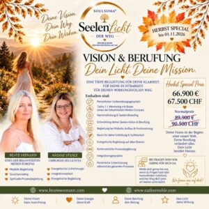 SEELENLICHT - Der Weg zurück zu dir selbst❤️ VISION & BERUFUNG Premium✨